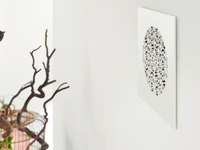 starline Design menfez: Her iç mimari tarzı ile uyumlu